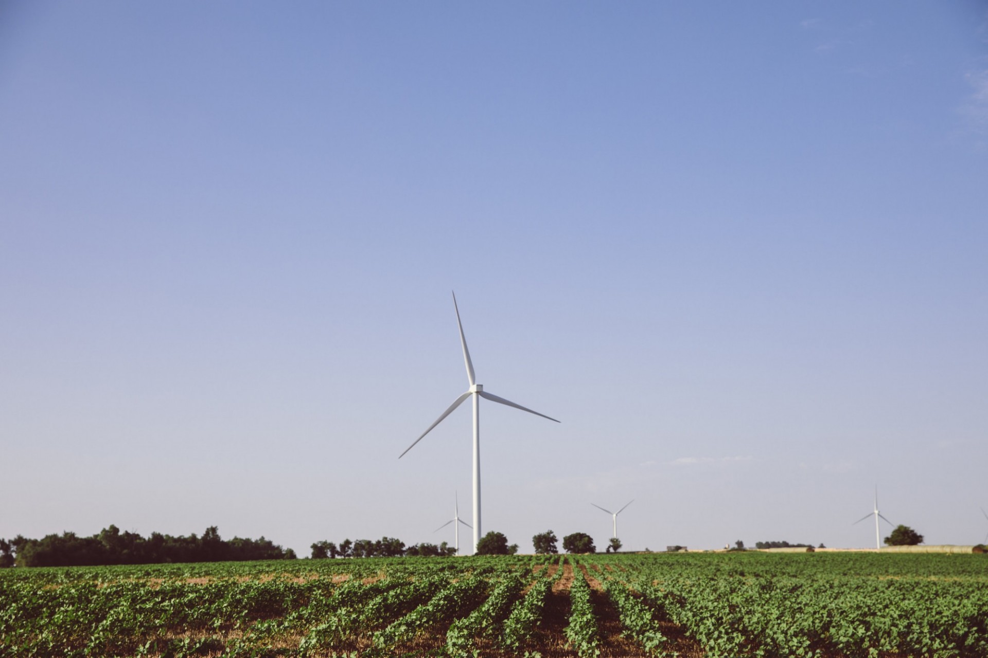 A wind farm with a large turbine in the foreground and several turbines in the distance